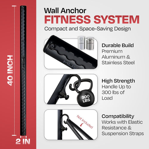 2) Double Black Aluminum Wall-Mounted Anchor Fitness System