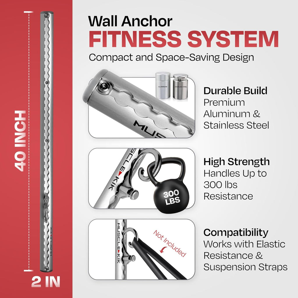 1) Double Silver Aluminum Wall-Mounted Anchor Fitness System - Adjustable, Multi-Functional, Space Saving Home Gym Solution for Strength Training, Workout Goals | 100+ Exercises, Easy Installation, 300lbs Capacity