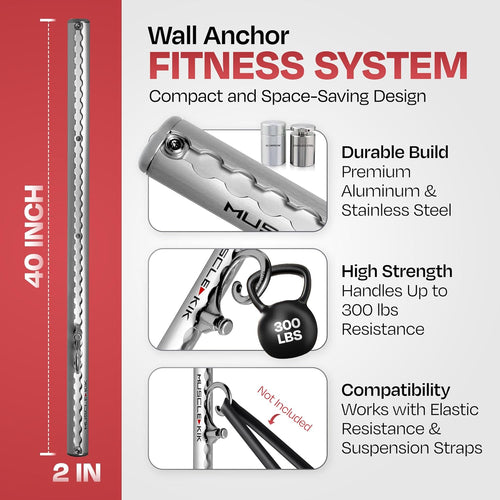 1) Double Silver Aluminum Wall-Mounted Anchor Fitness System